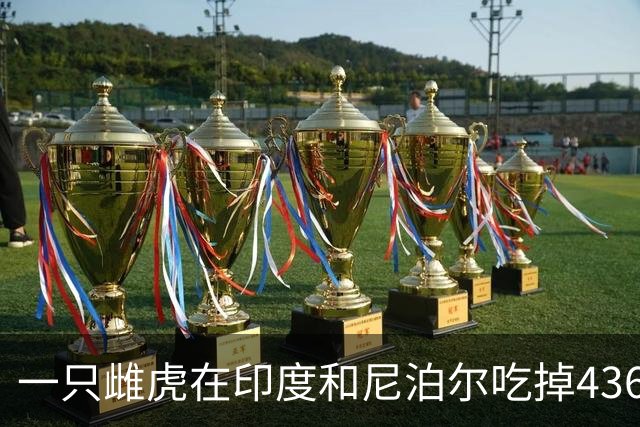 一只雌虎在印度和尼泊尔吃掉436人，成为杀人兽之最！原因竟是它的牙齿