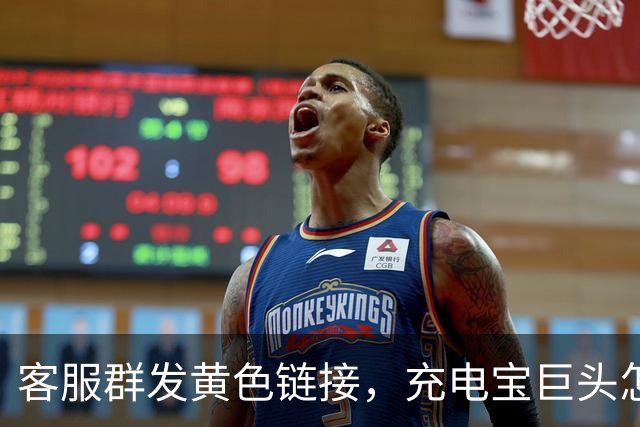 客服群发黄色链接，充电宝巨头怎么了？