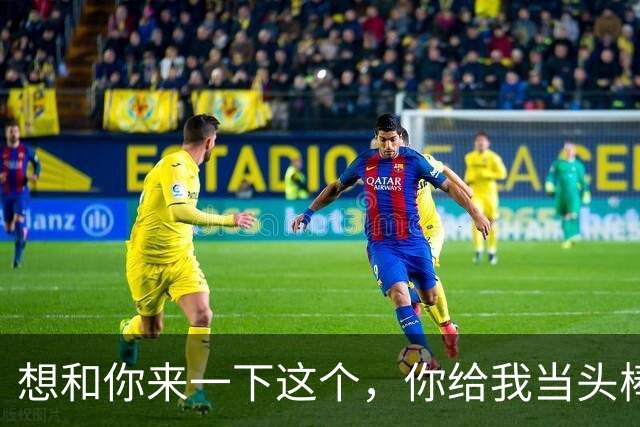 想和你来一下这个，你给我当头棒喝