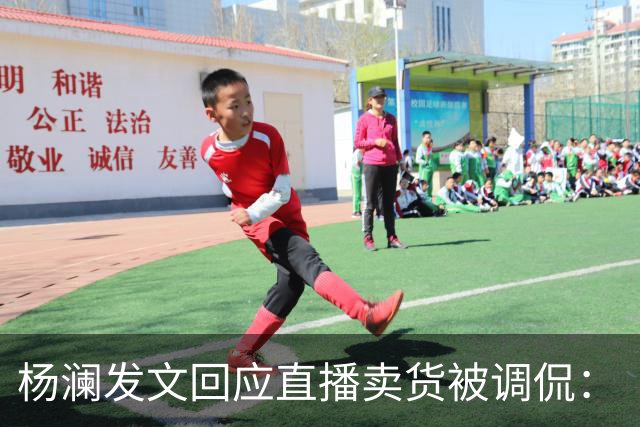 杨澜发文回应直播卖货被调侃：“大家不必担心，直播带货没有那么简单”