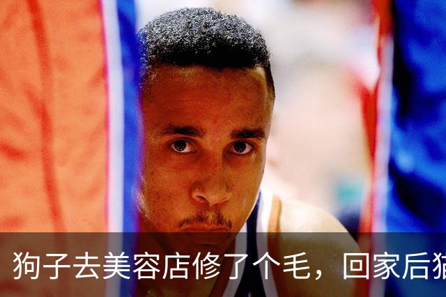 狗子去美容店修了个毛，回家后猫咪直接炸毛：这丑狗是谁？铲屎的，你接错狗了吧！