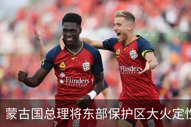 蒙古国总理将东部保护区大火定性为严重生态事件 蒙方将彻查追责