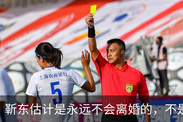 靳东估计是永远不会离婚的，不是因为他和老婆财产纠葛太多