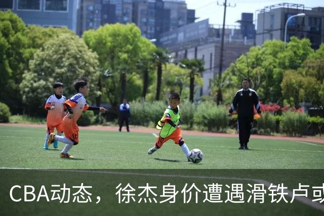 CBA动态，徐杰身价遭遇滑铁卢或将离队，林葳交易成焦点！